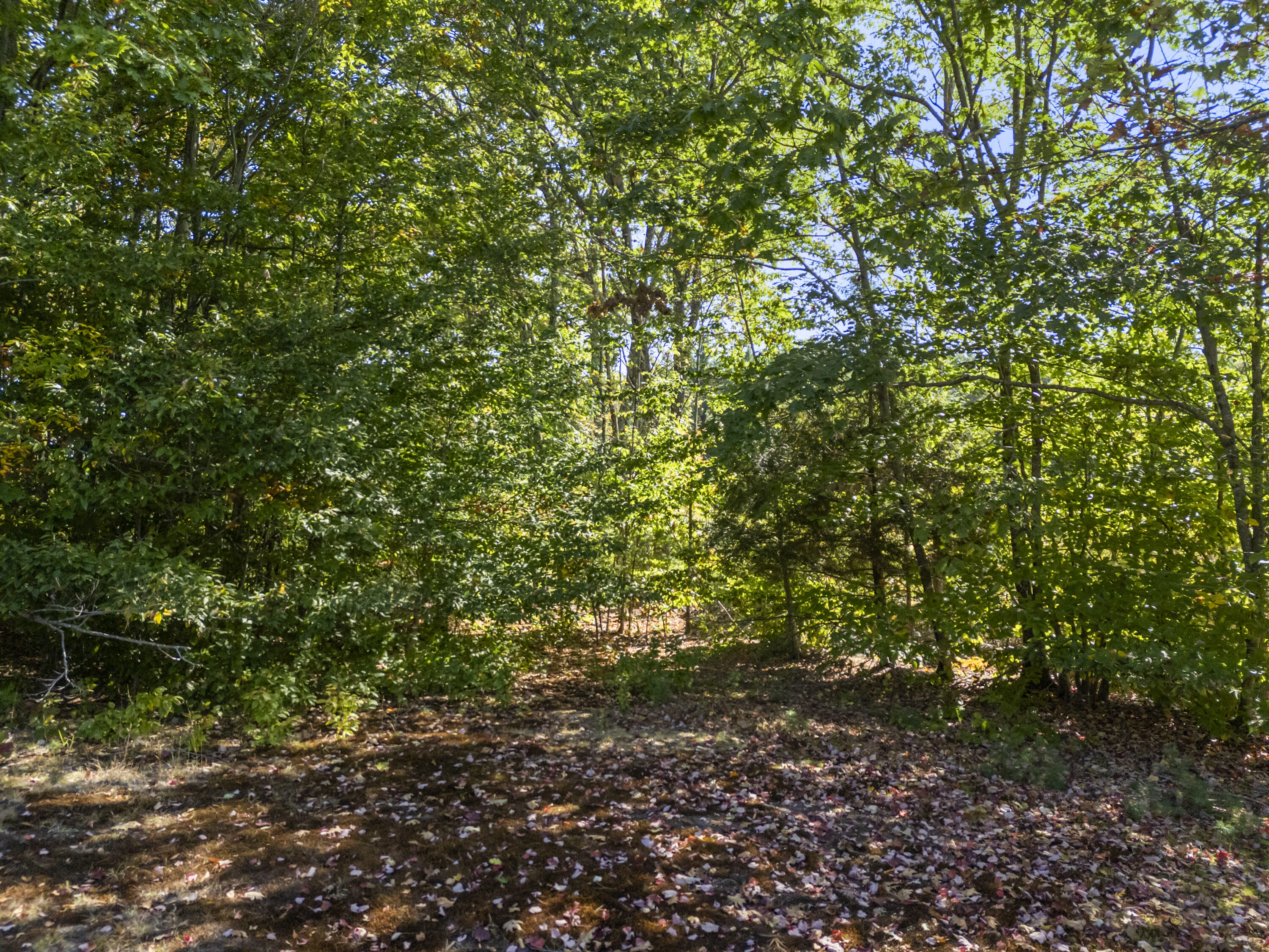 27 Lynn Drive Parsonsfield ME 04047