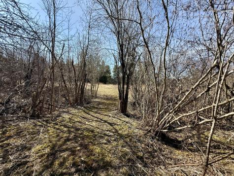 30 Harrision Road Edmunds Twp ME 04628