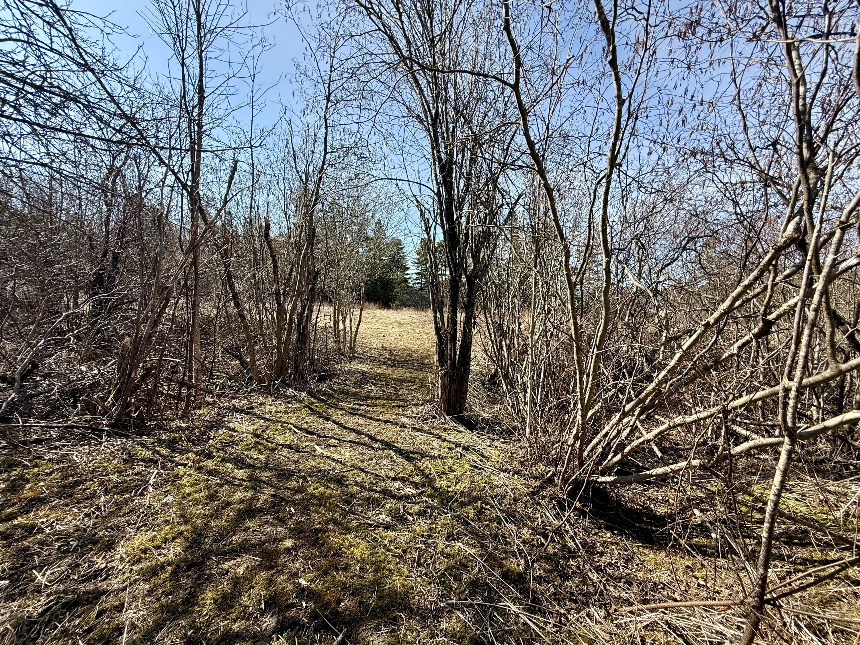 30 Harrision Road Edmunds Twp ME 04628