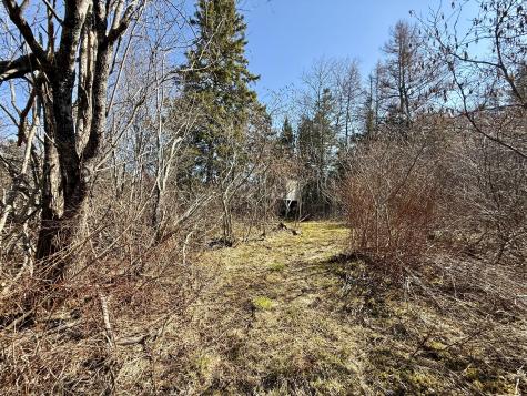 30 Harrision Road Edmunds Twp ME 04628