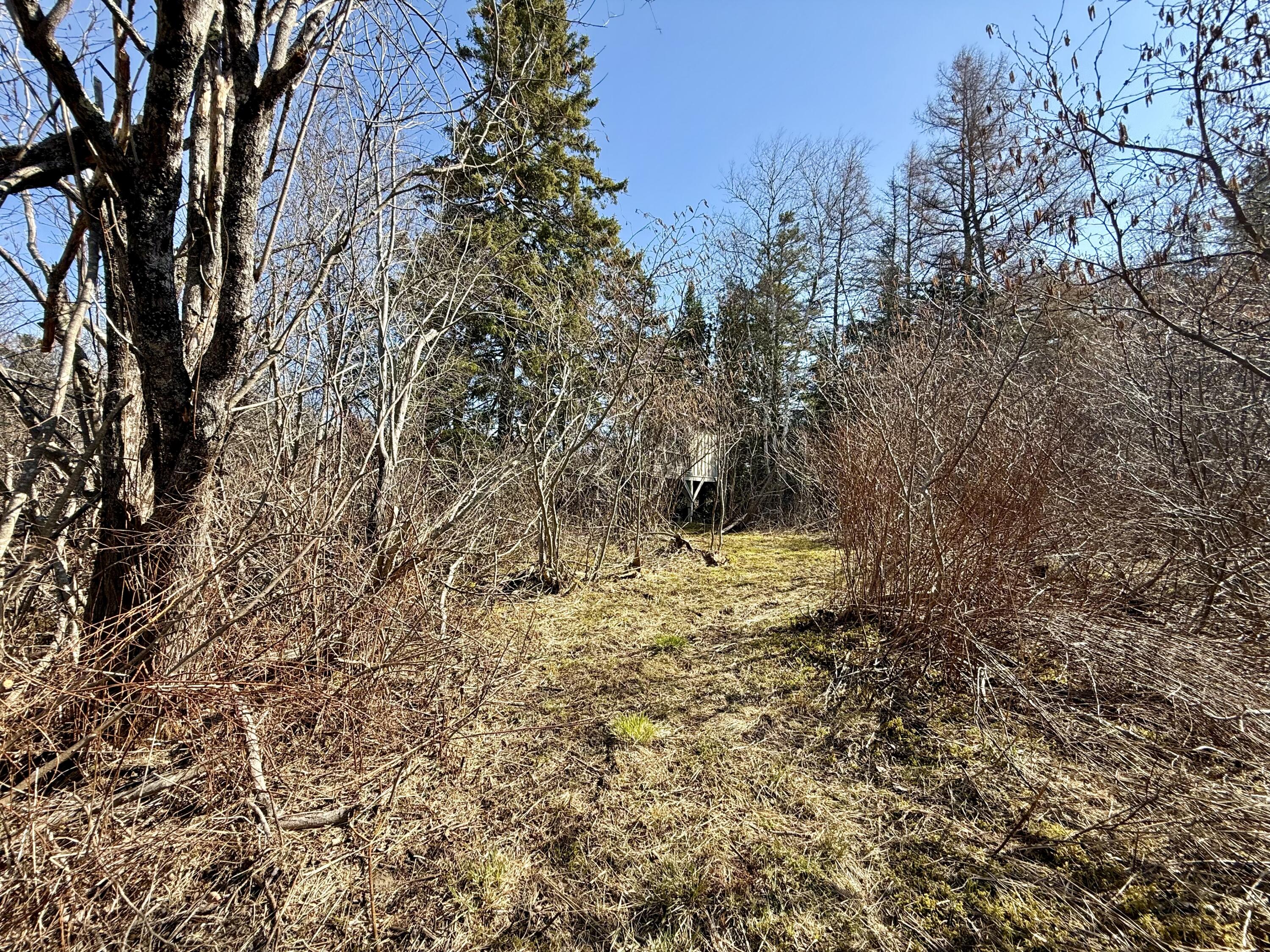 30 Harrision Road Edmunds Twp ME 04628