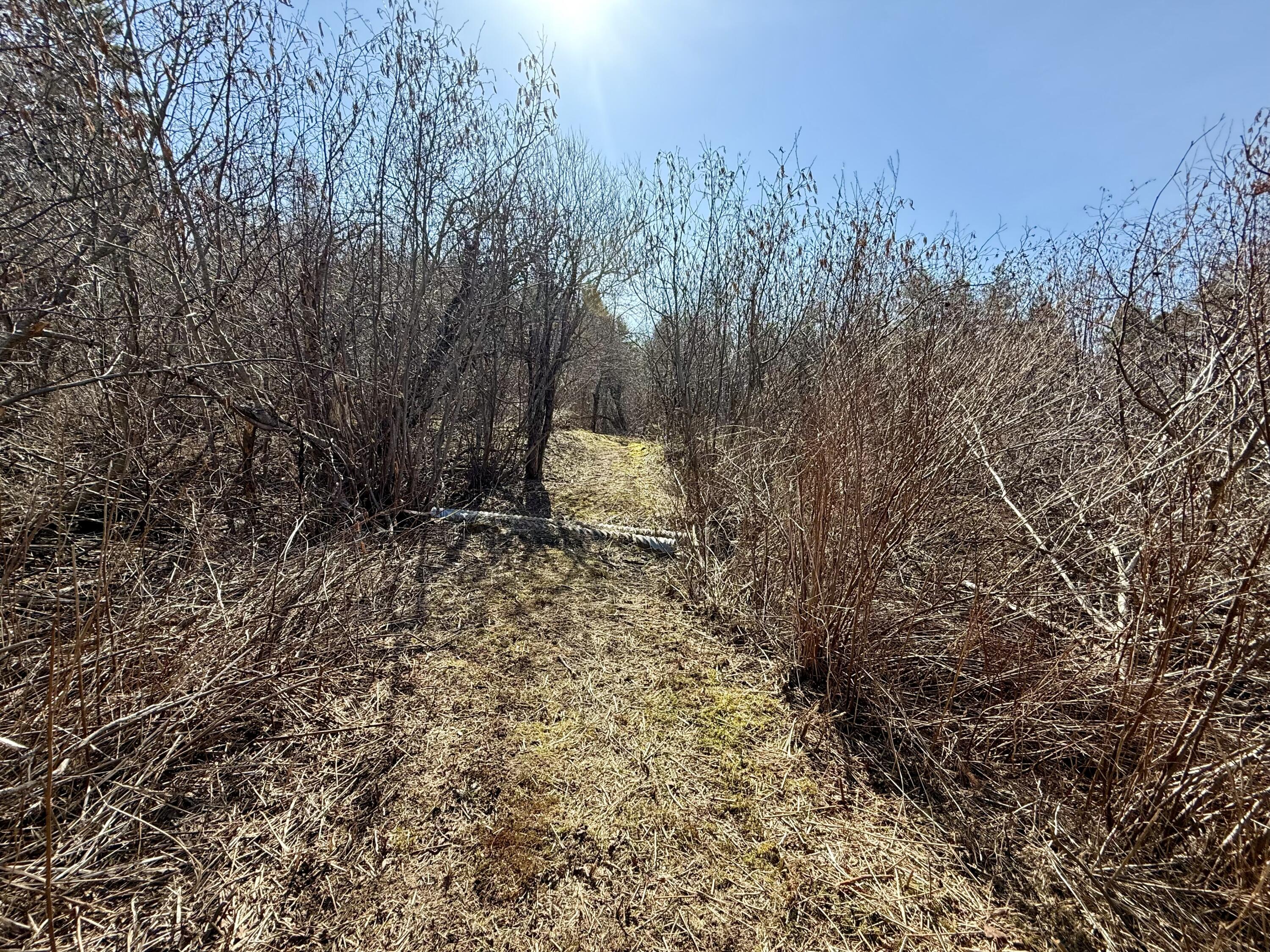 30 Harrision Road Edmunds Twp ME 04628