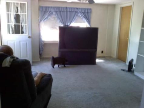 139 Hardy Point Road Pembroke ME 04666