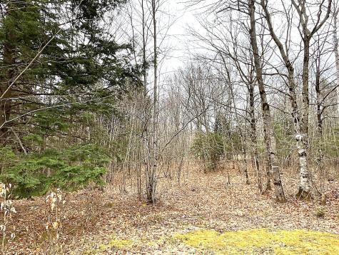 543 Dead River Road Bowdoin ME 04287