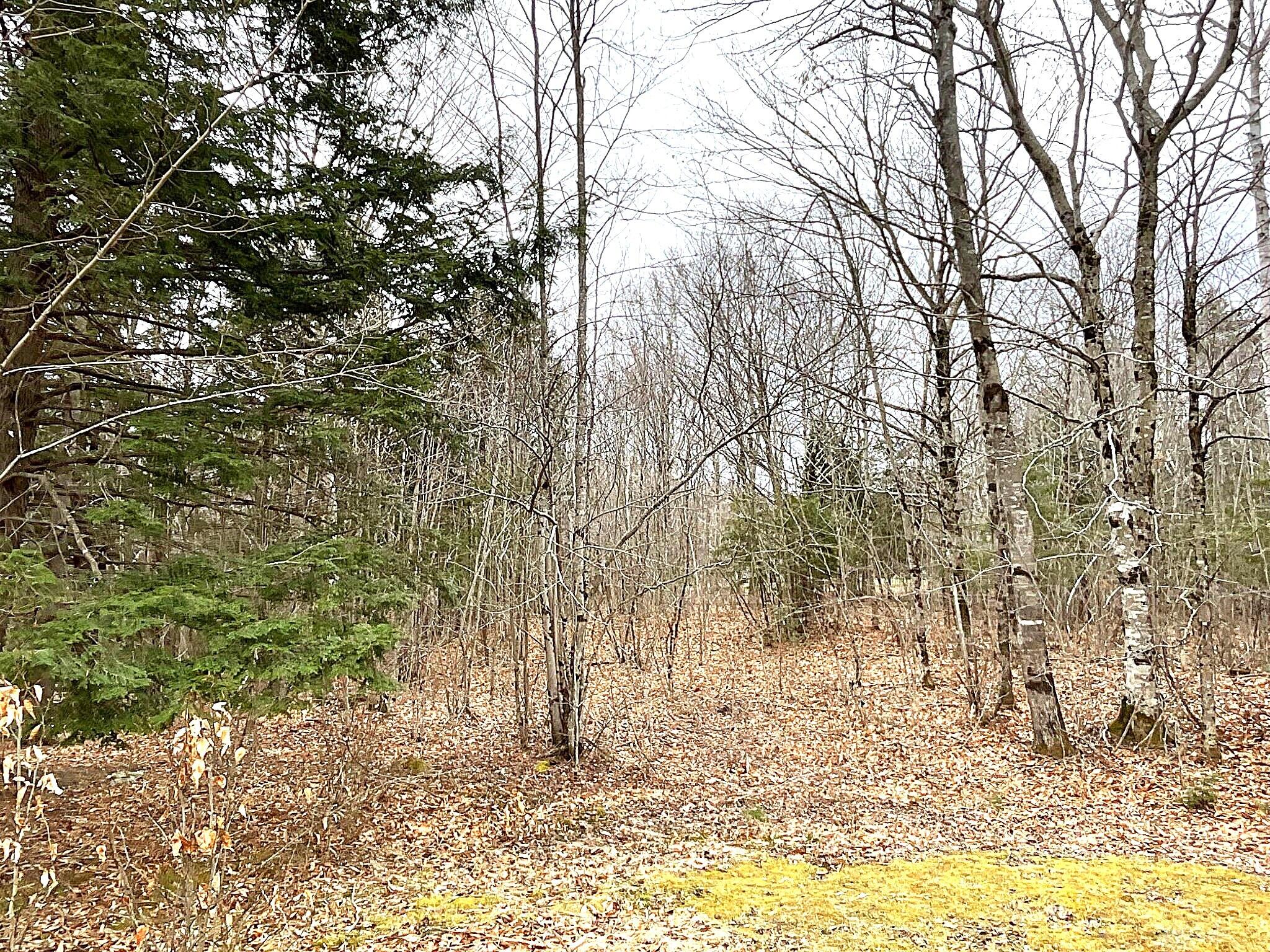 543 Dead River Road Bowdoin ME 04287