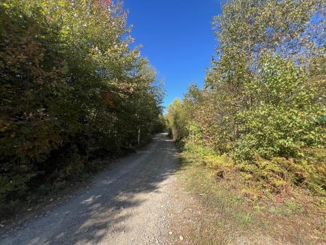 Map 201 Lot 101-4 Off Tremblay Road Dexter ME 04930