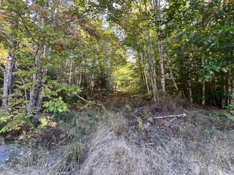 Map 201 Lot 101-4 Off Tremblay Road Dexter ME 04930