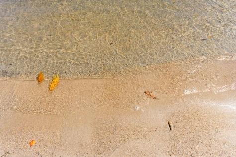 114 Wild Acres Road Raymond ME 04071