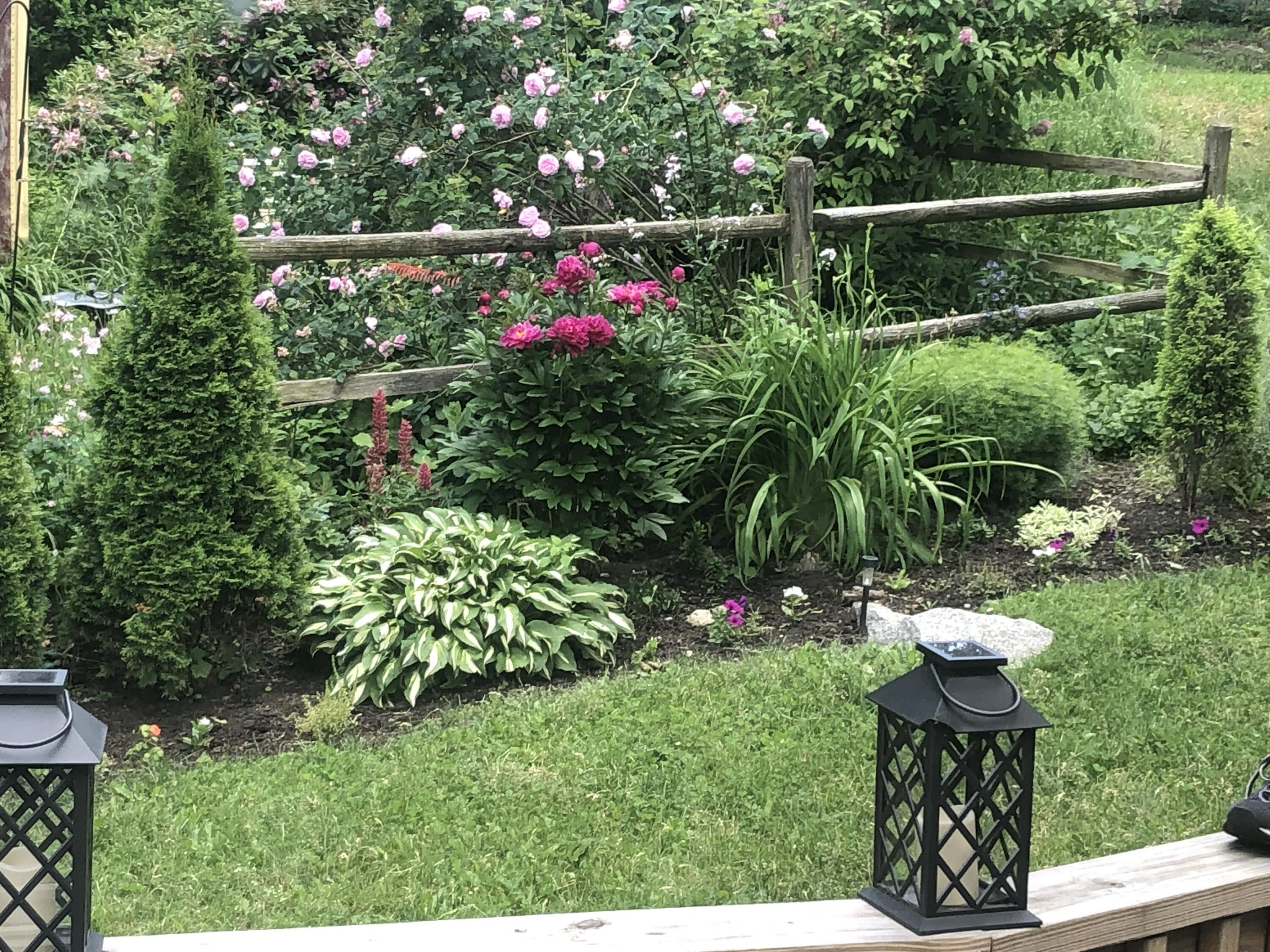 6 Horrigan Court Biddeford ME 04005