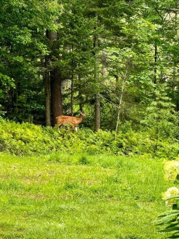 224 Tolman Road Warren ME 04864