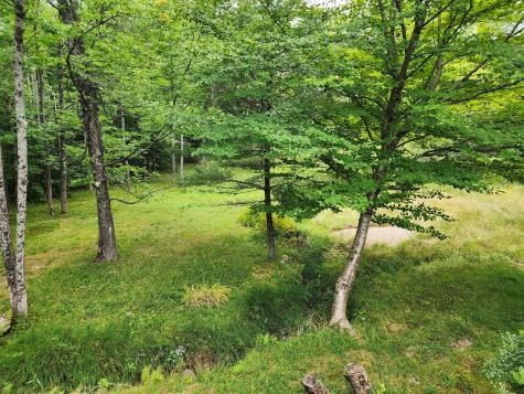 1200 Weld Road Washington Twp ME 04574