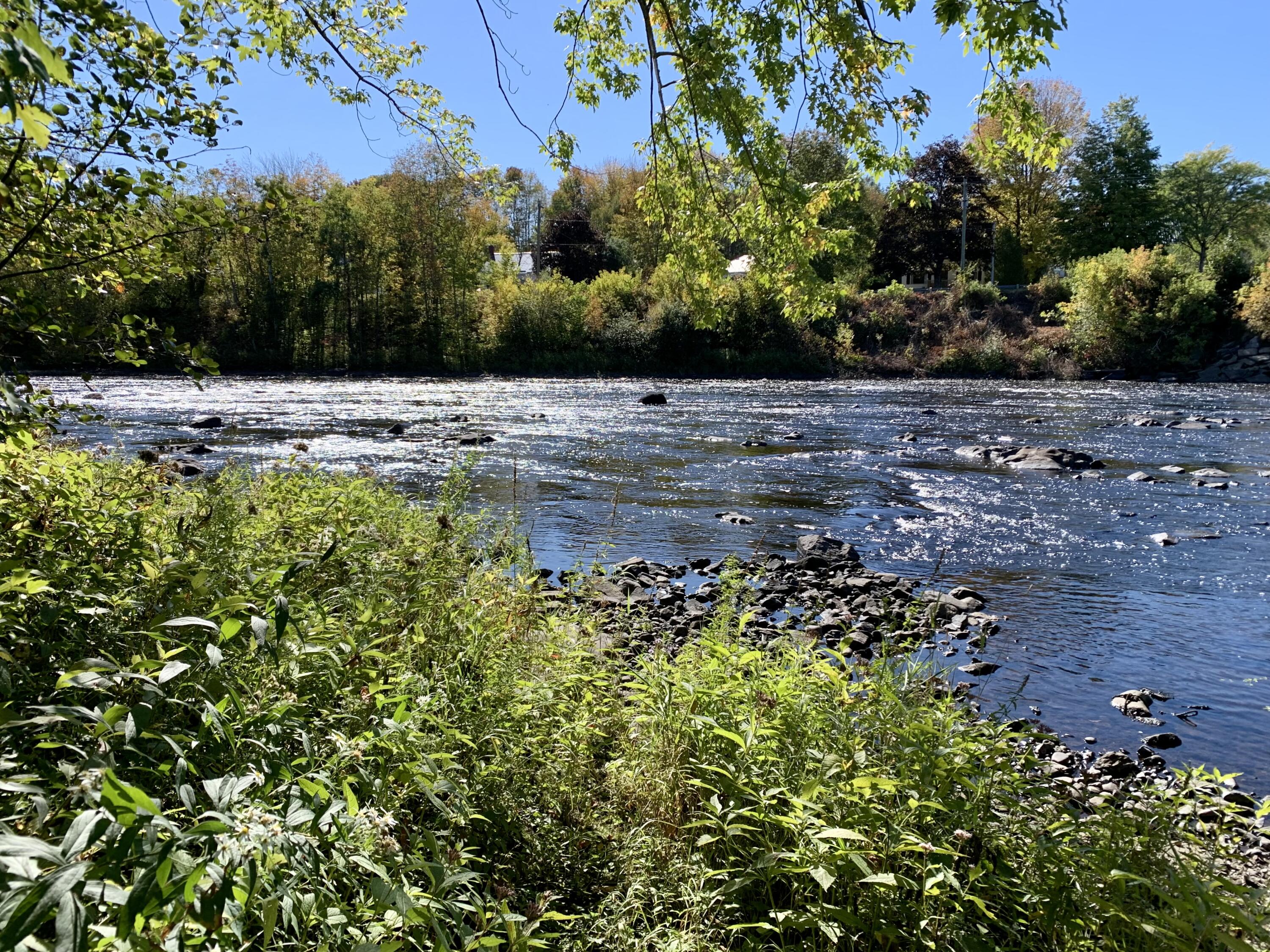 24 Todd Street Calais ME 04619