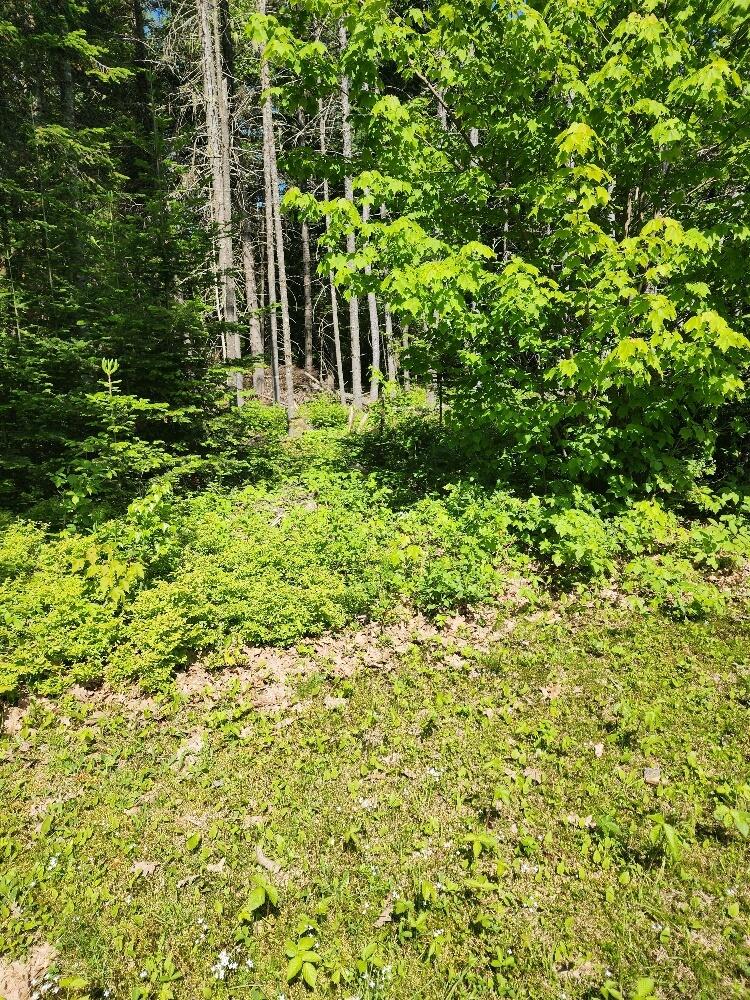 001-5 Brighton (cole Corner) Road Athens ME 04912