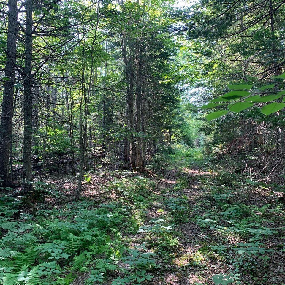 341 Us Route 1 Weston ME 04424