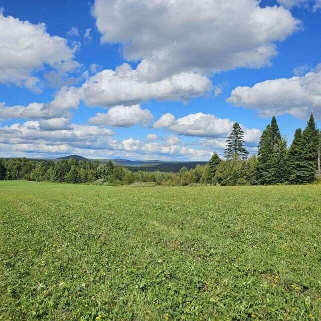 341 Us Route 1 Weston ME 04424