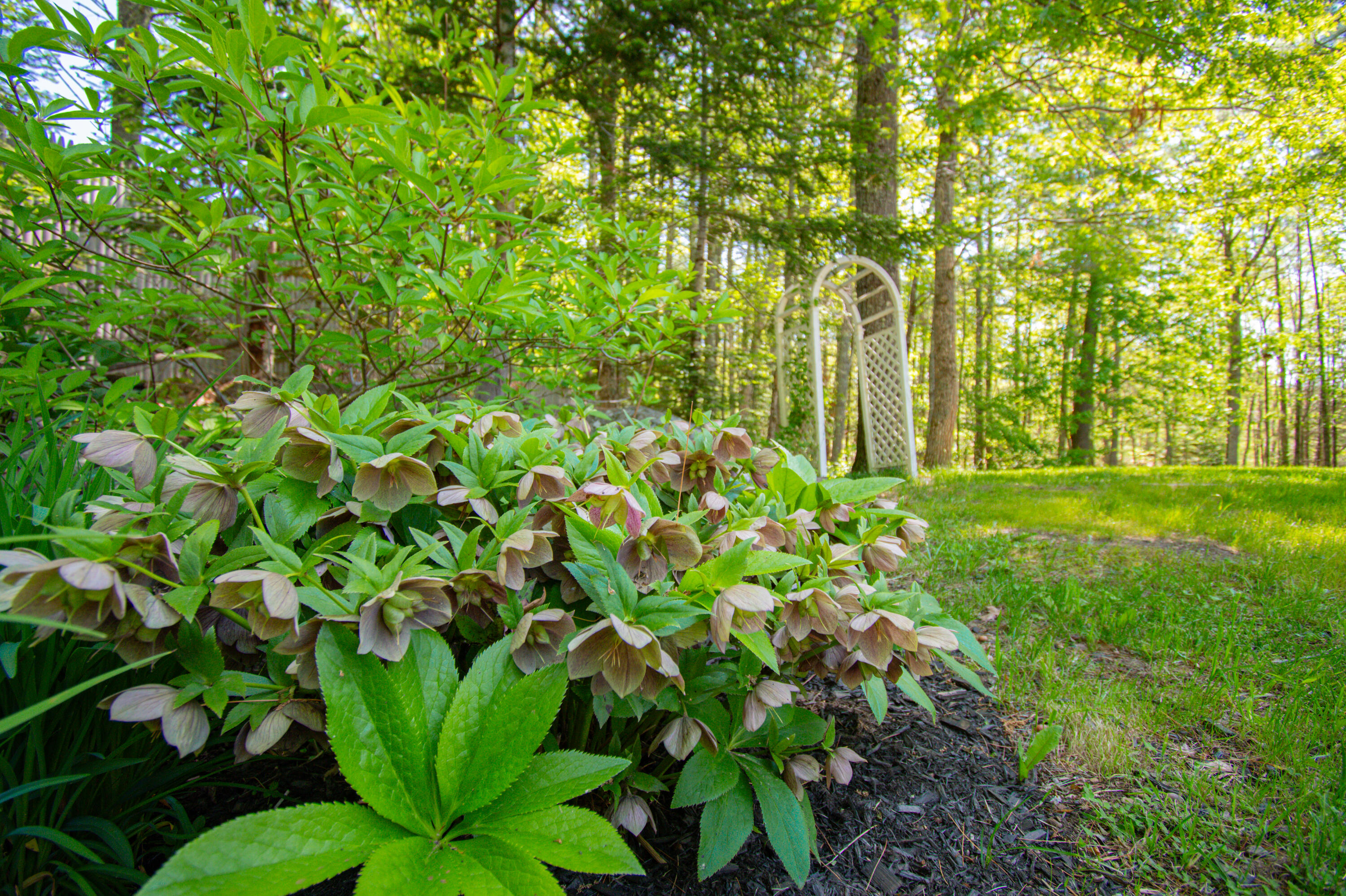 12 Hixon Hill Drive Woolwich ME 04579