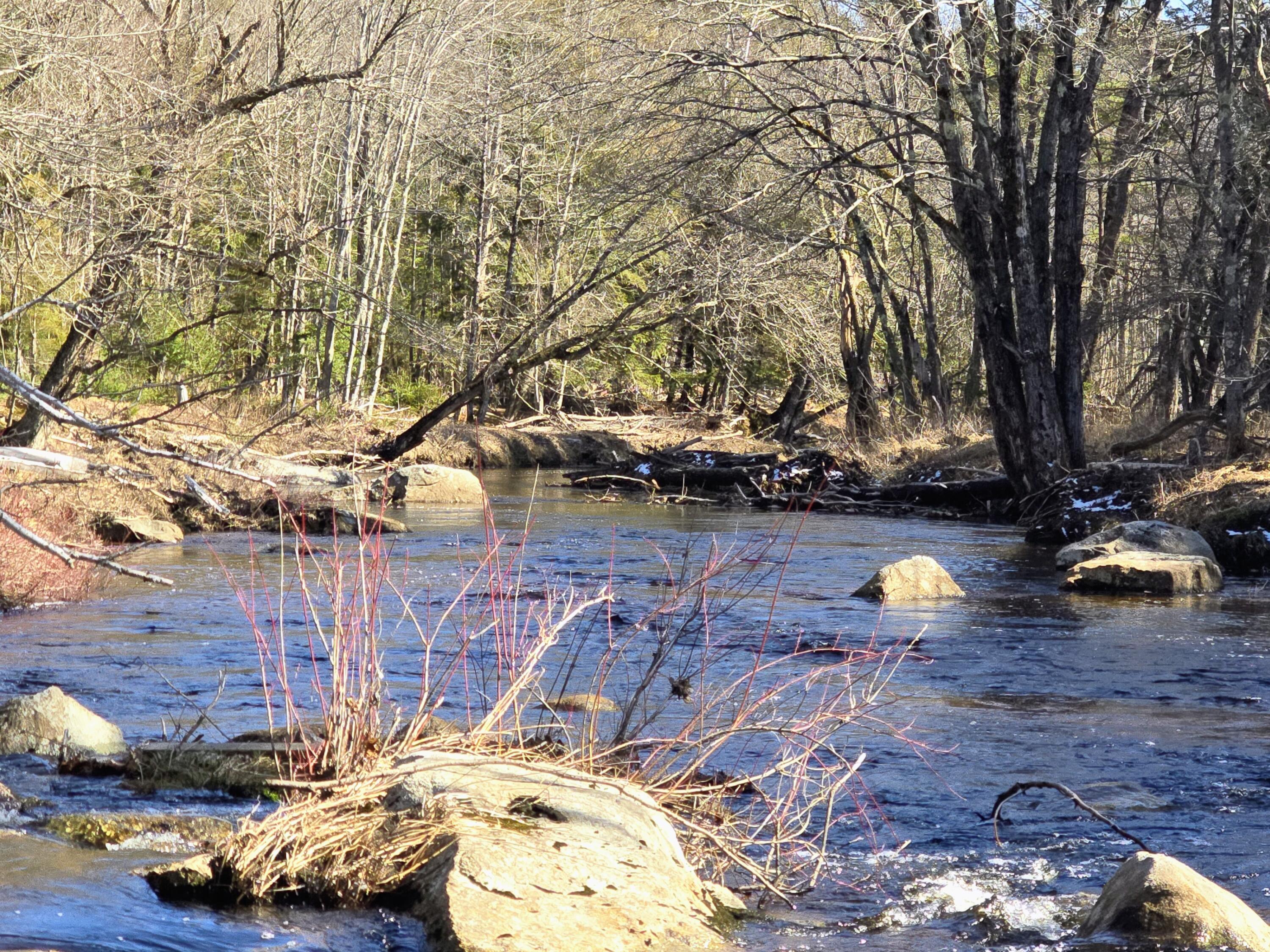 199 Morrill Street Buckfield ME 04220