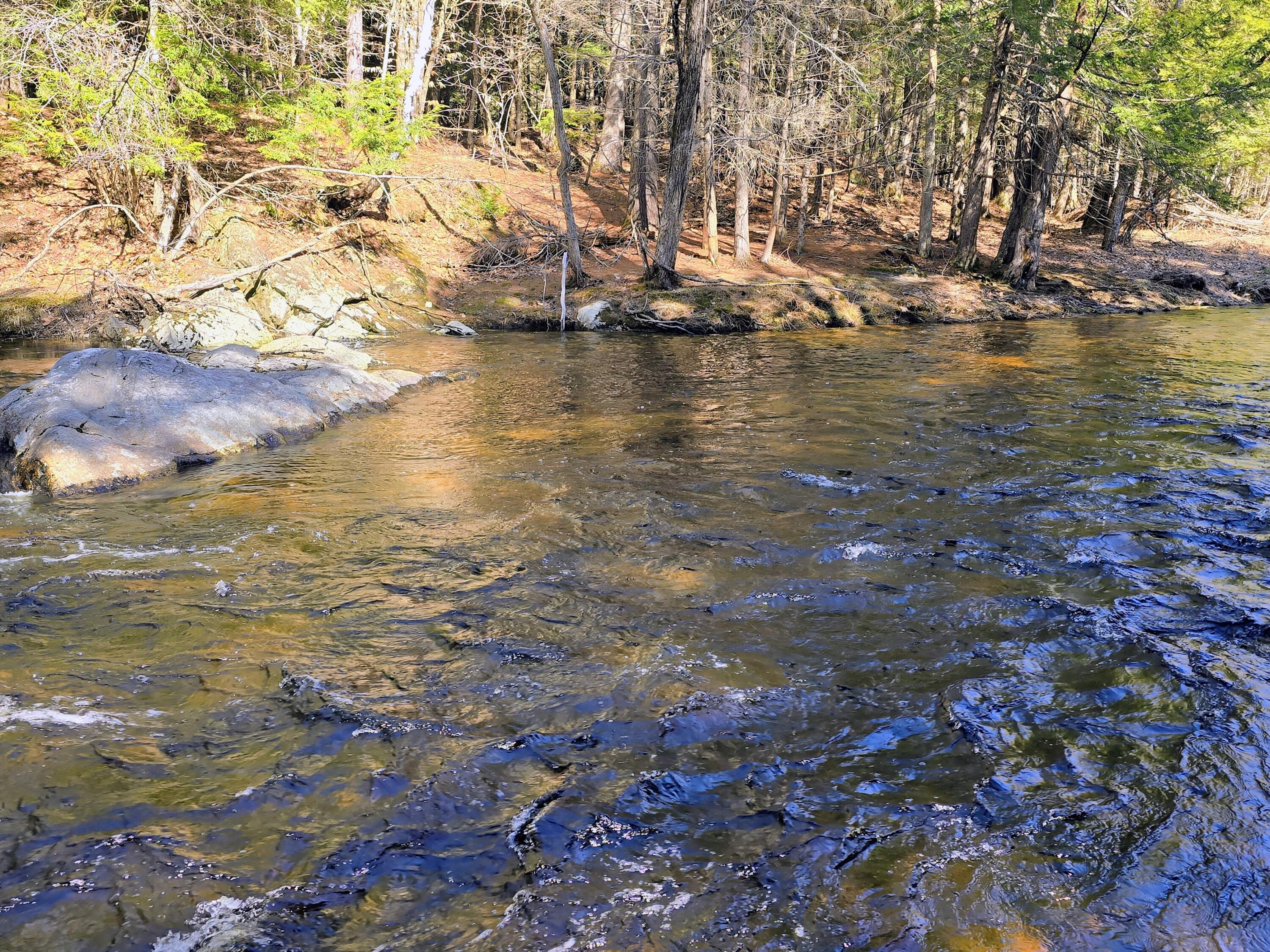 199 Morrill Street Buckfield ME 04220