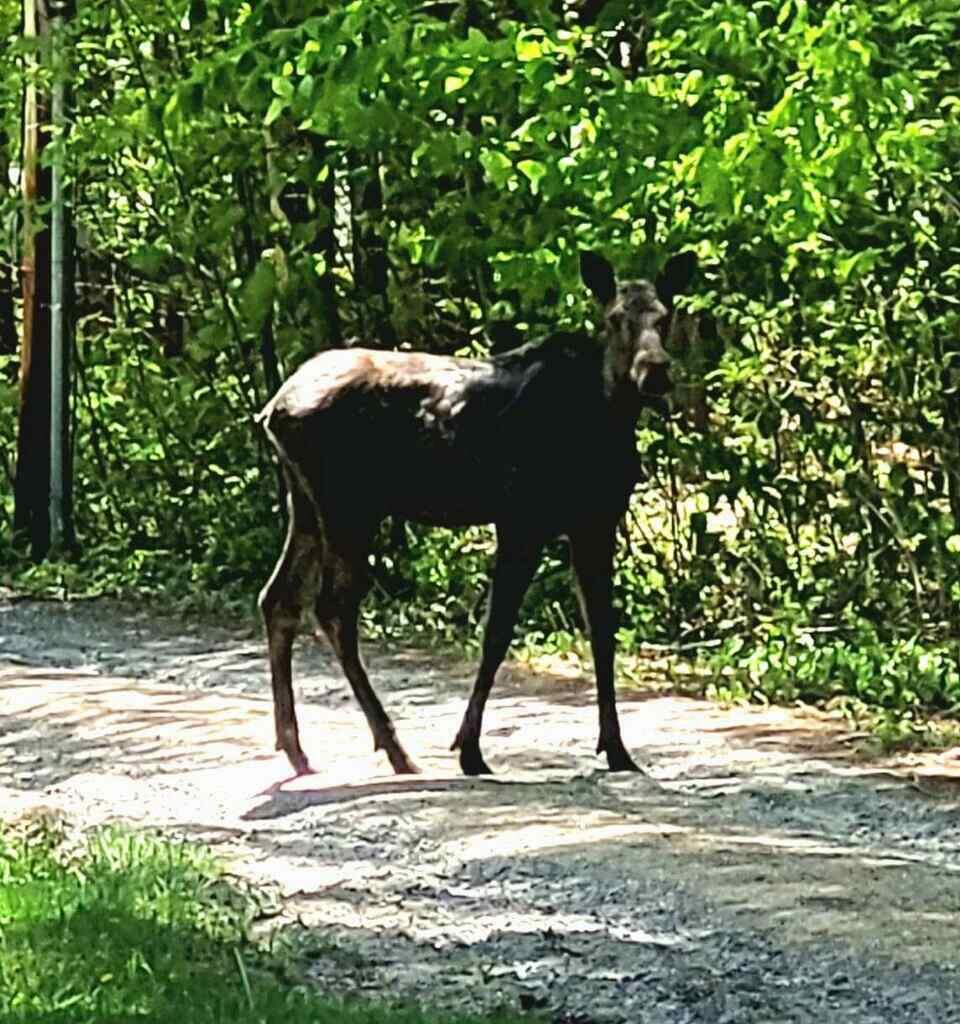 333 Green Woods Road Peru ME 04290