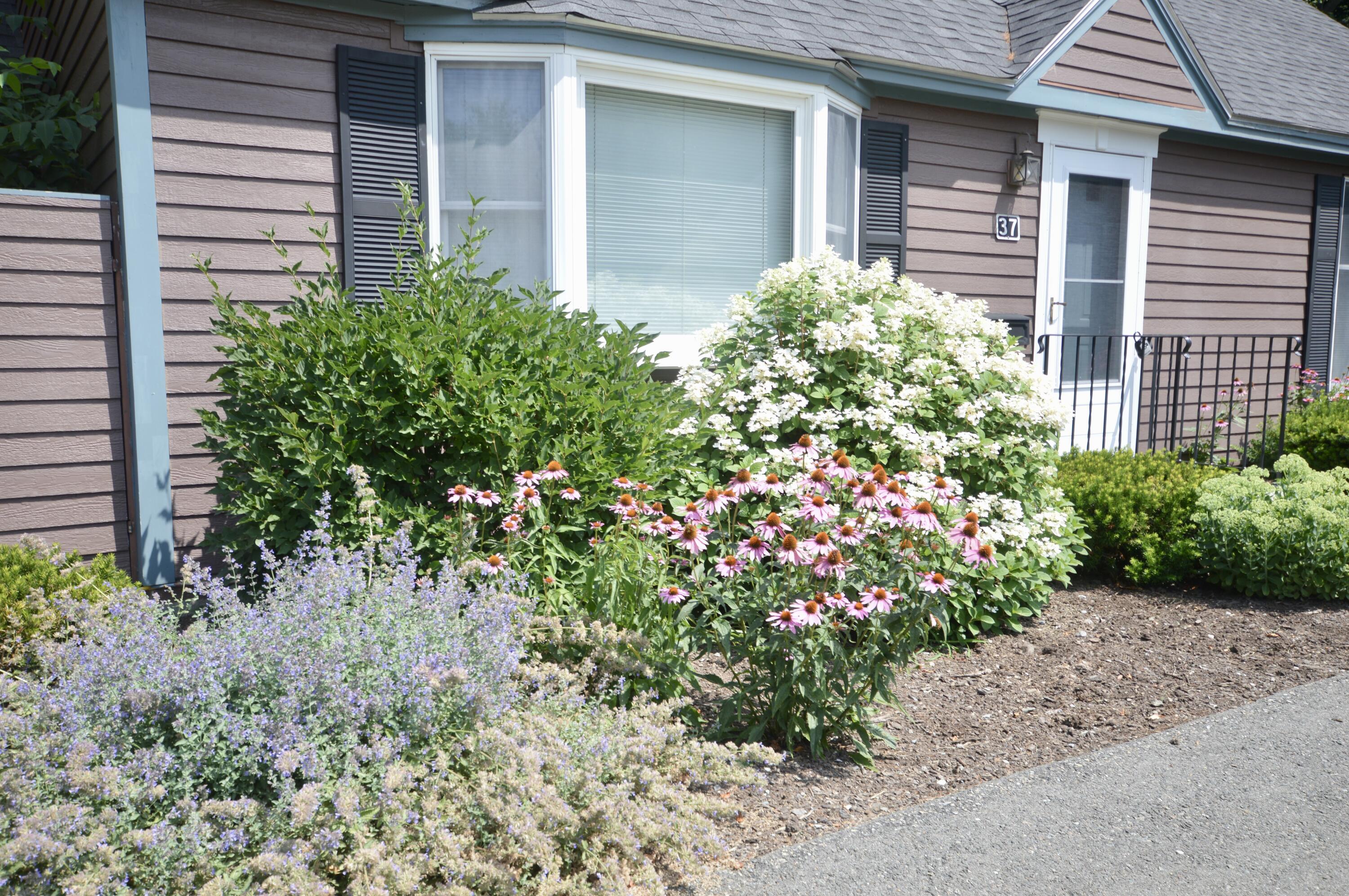 37 Cortland Circle Bangor ME 04401