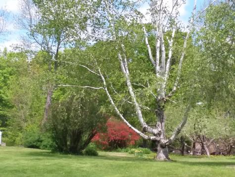 433 Hudson Road Corinth ME 04427