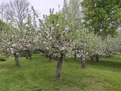 433 Hudson Road Corinth ME 04427