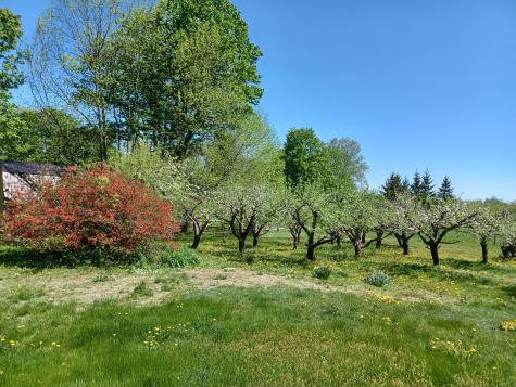 433 Hudson Road Corinth ME 04427