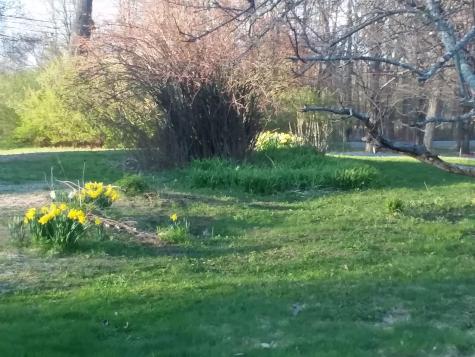 433 Hudson Road Corinth ME 04427