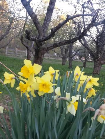 433 Hudson Road Corinth ME 04427