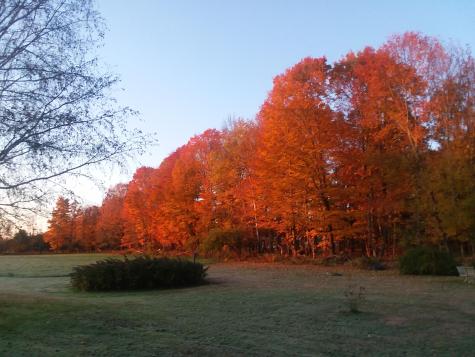 433 Hudson Road Corinth ME 04427