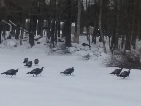 433 Hudson Road Corinth ME 04427