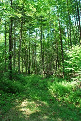 5 Moose Run Road Wellington ME 04942