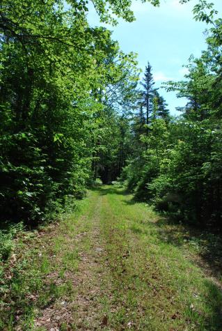 5 Moose Run Road Wellington ME 04942