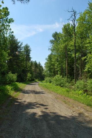 5 Moose Run Road Wellington ME 04942