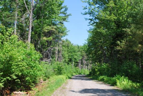 5 Moose Run Road Wellington ME 04942