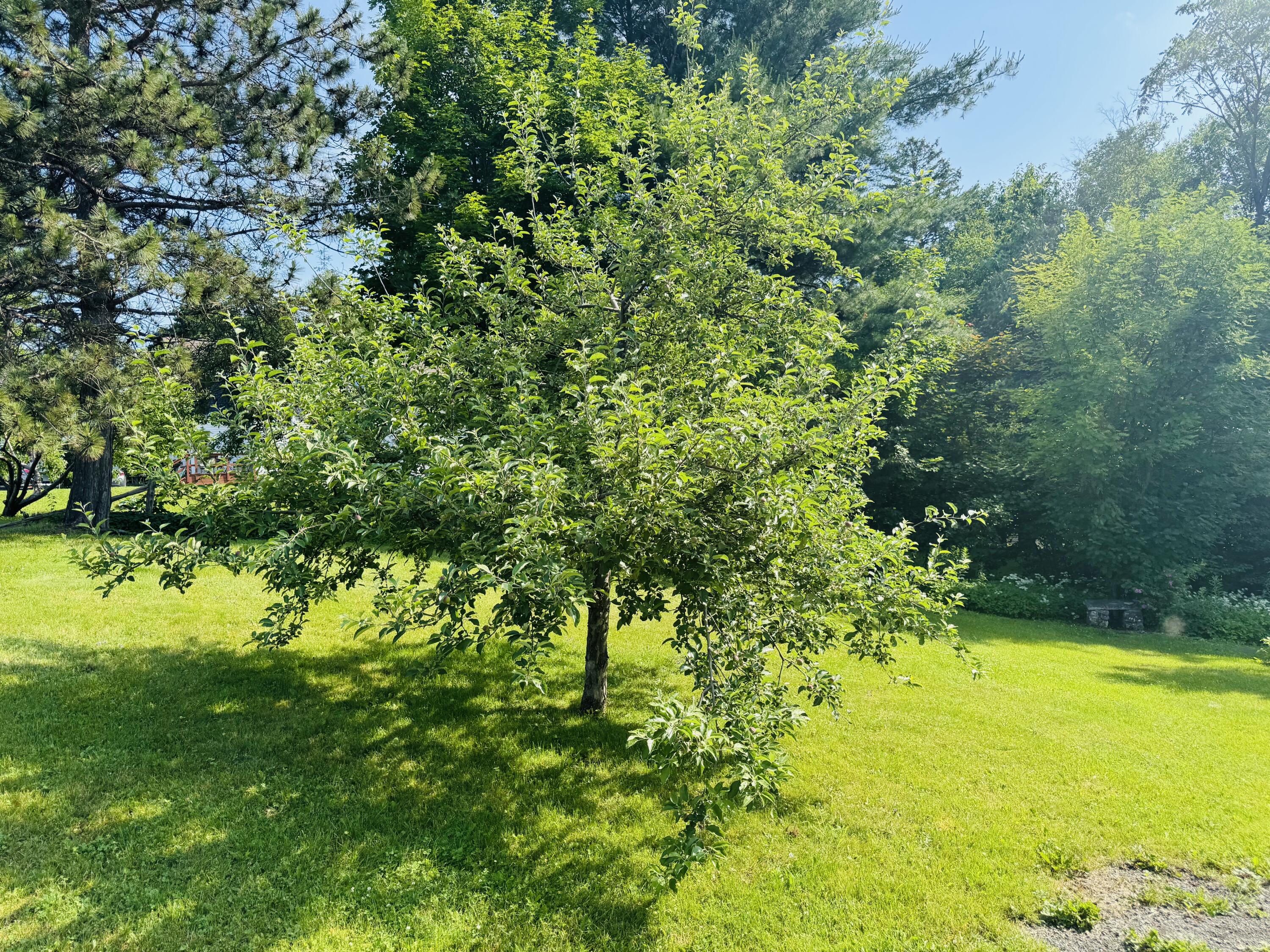 745 Main Street Caribou ME 04736