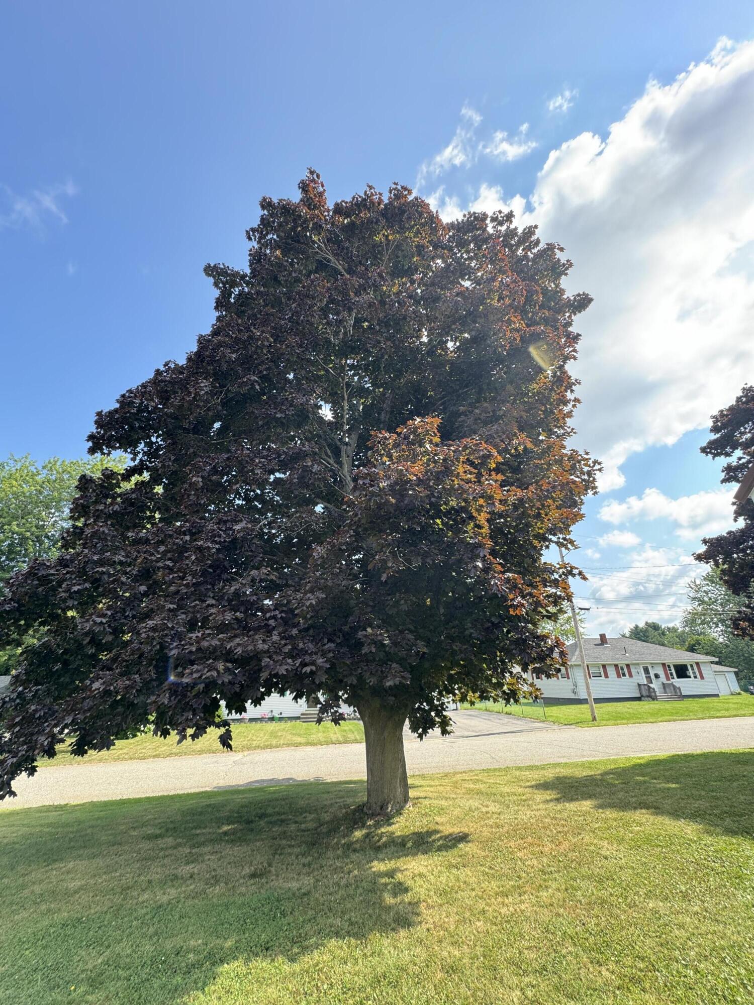 19 Park Avenue W Brewer ME 04412