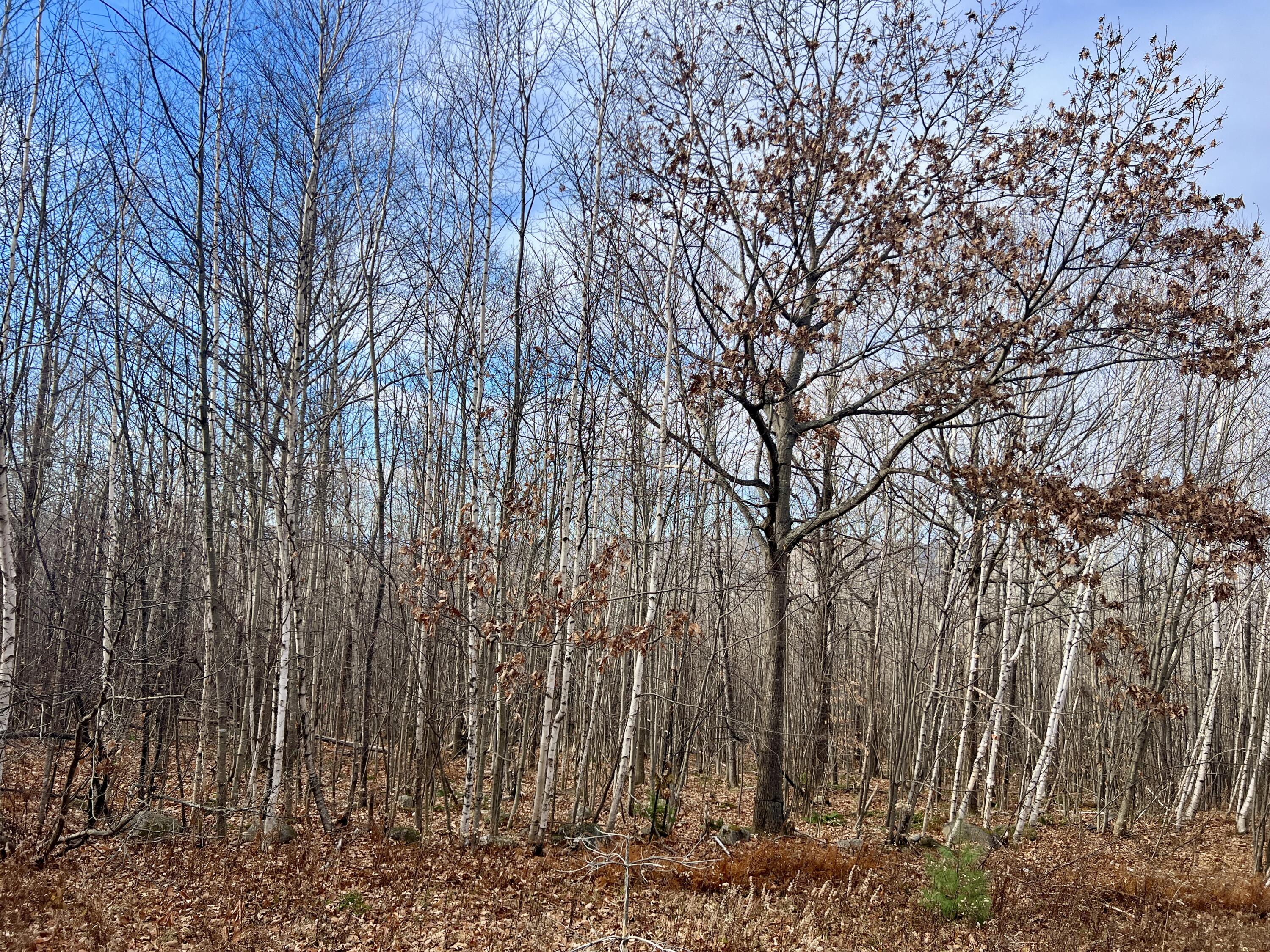 75 Ryemoor Heights Road Sumner ME 04292