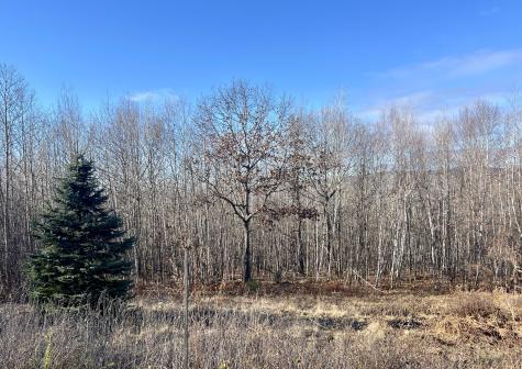 75 Ryemoor Heights Road Sumner ME 04292