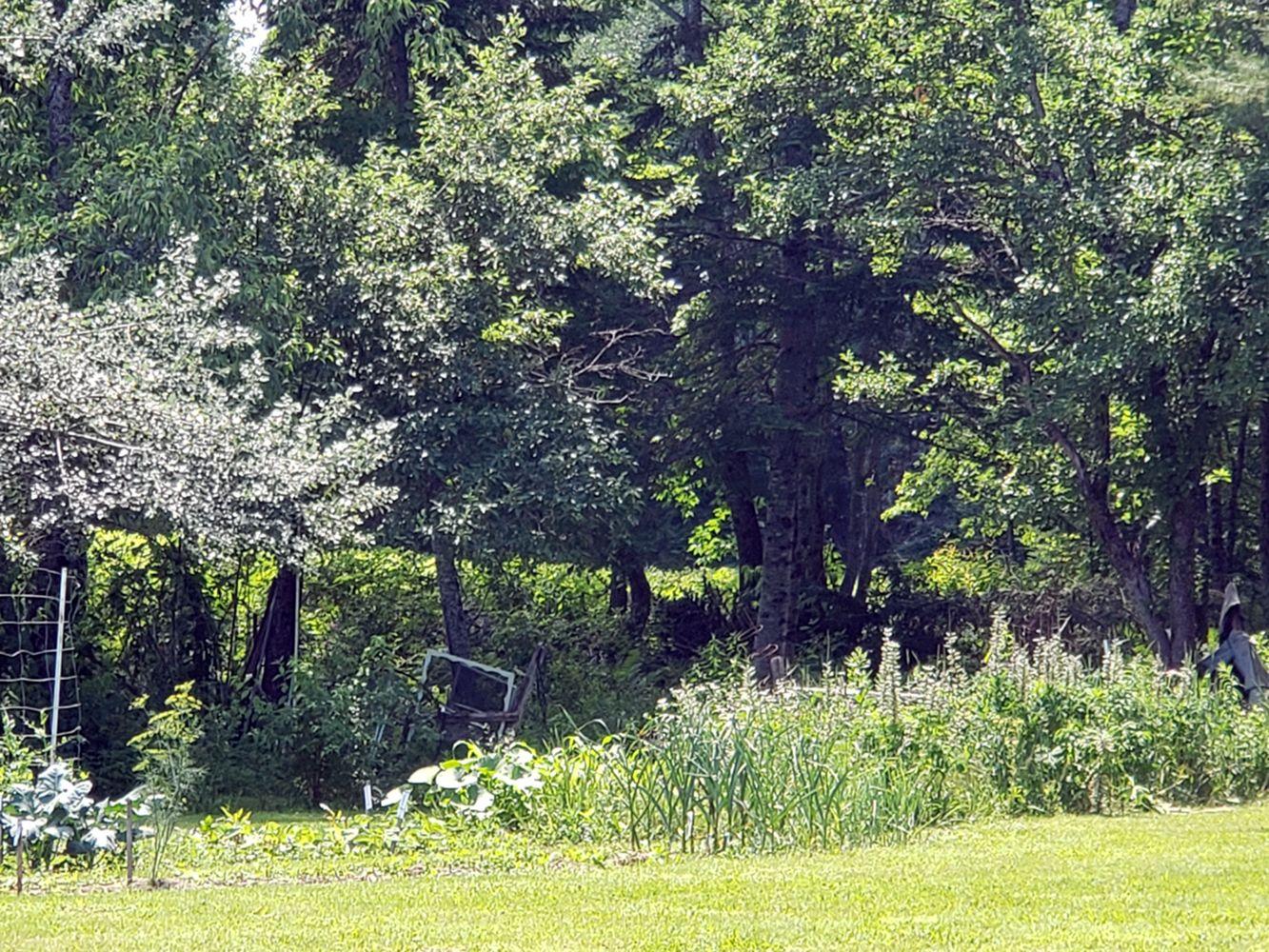 6 Harmony Road Wellington ME 04942