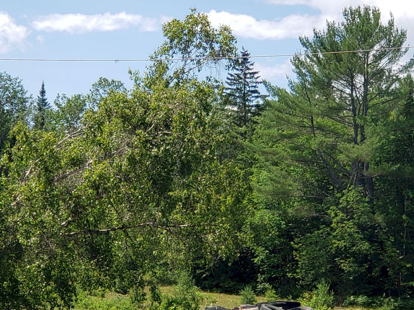 6 Harmony Road Wellington ME 04942