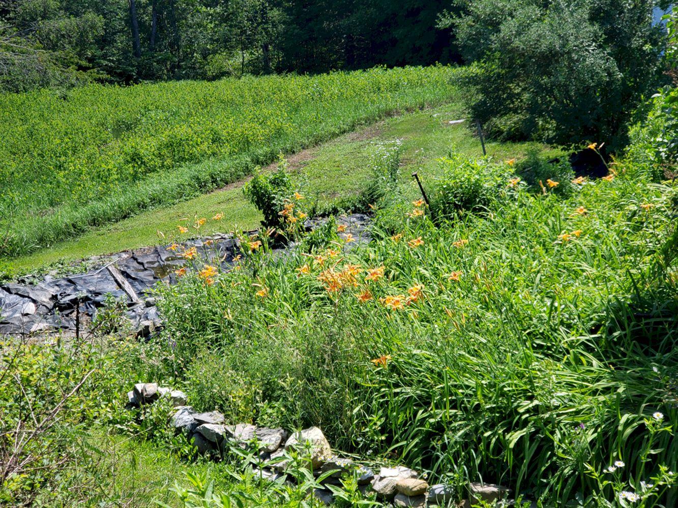 6 Harmony Road Wellington ME 04942