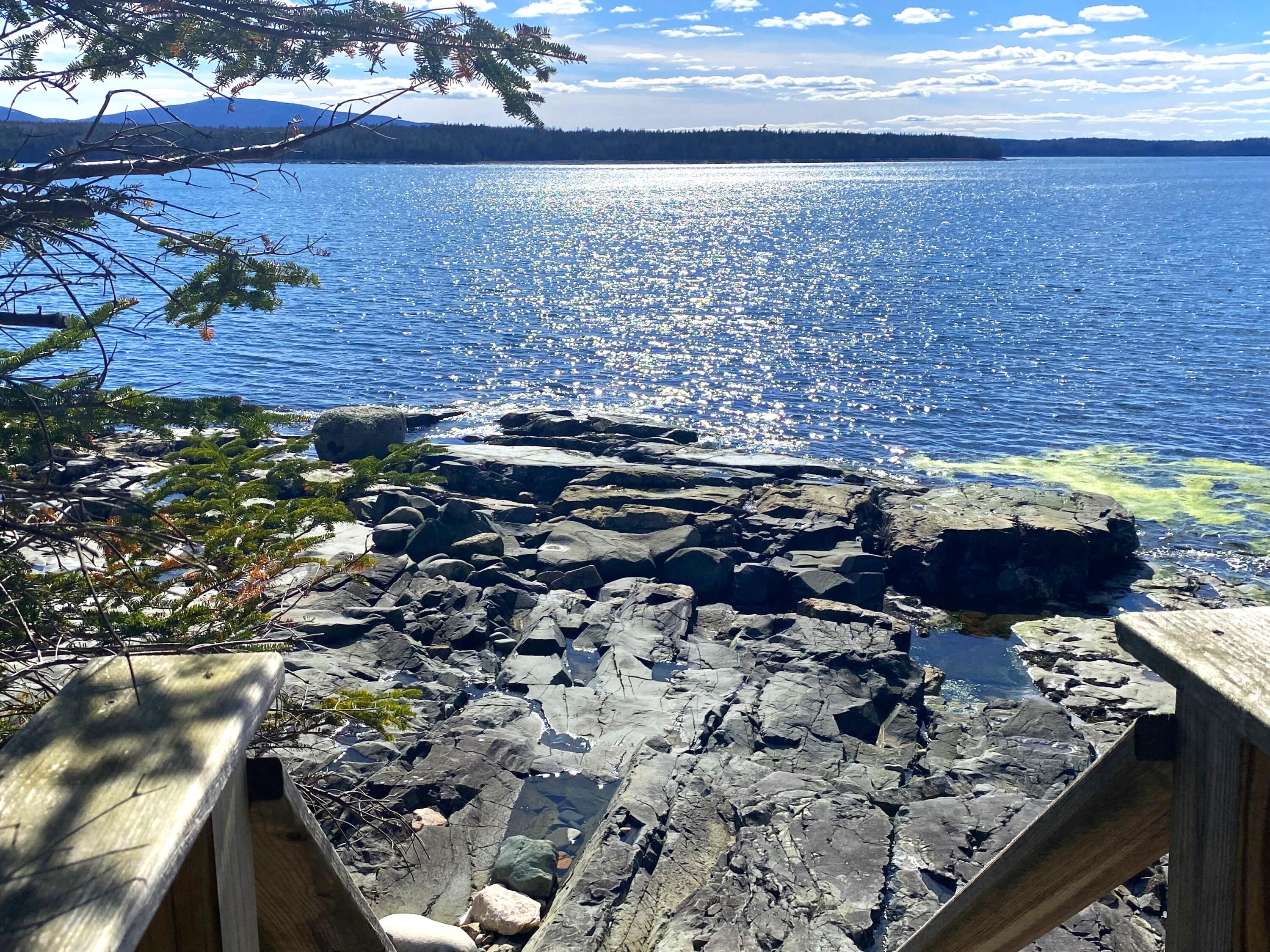 29 Loons Call Winter Harbor ME 04693