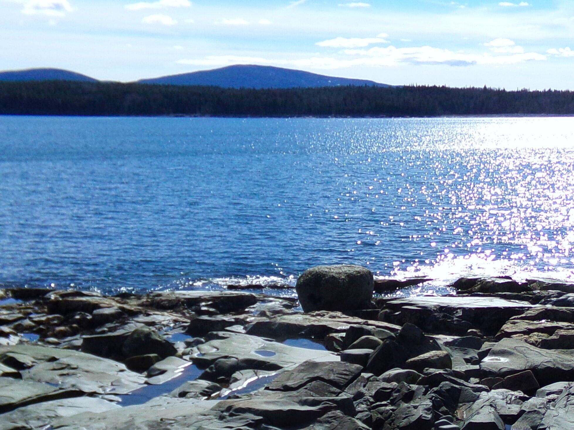 29 Loons Call Winter Harbor ME 04693