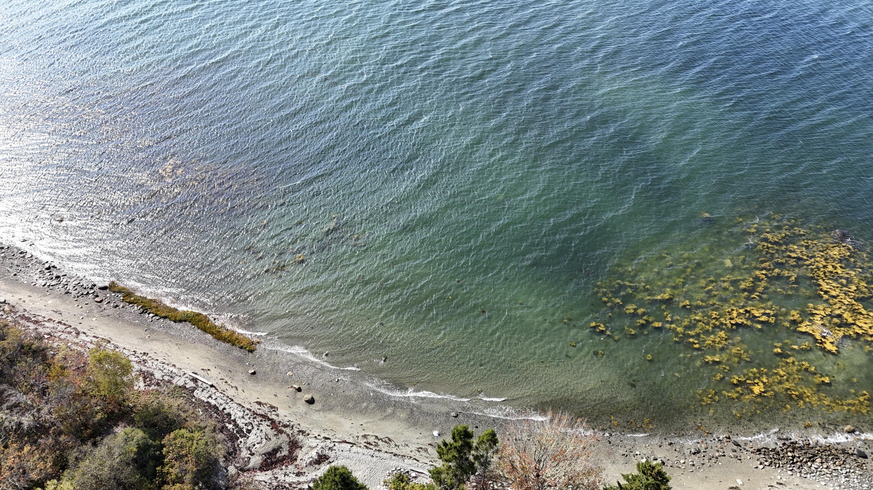 26 Pressey Lane Trenton ME 04605