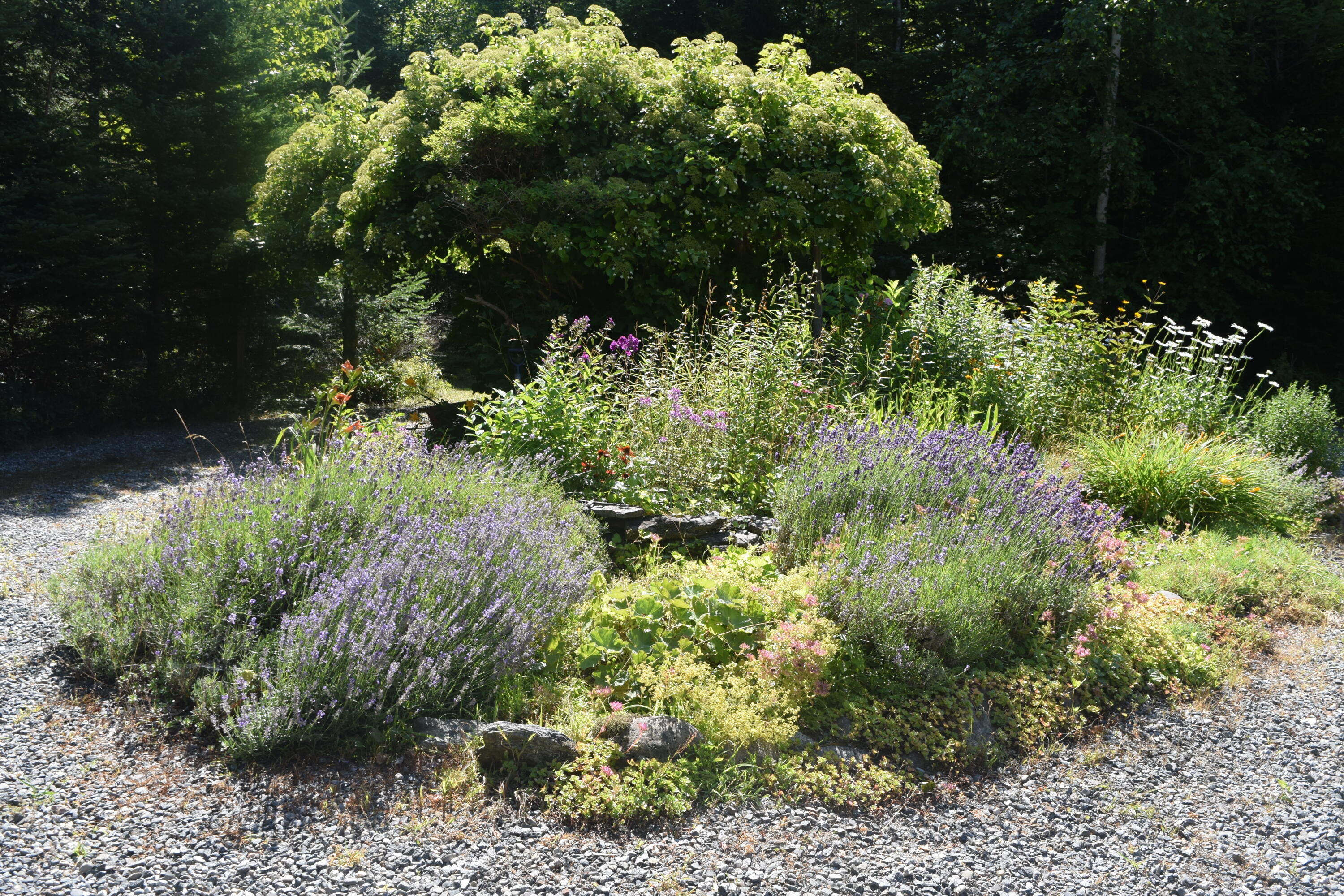 26 Pressey Lane Trenton ME 04605