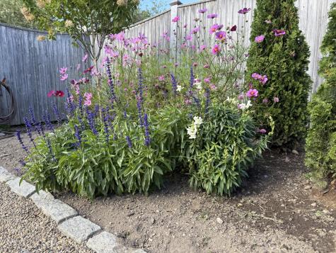 37 Wellington Road Portland ME 04103