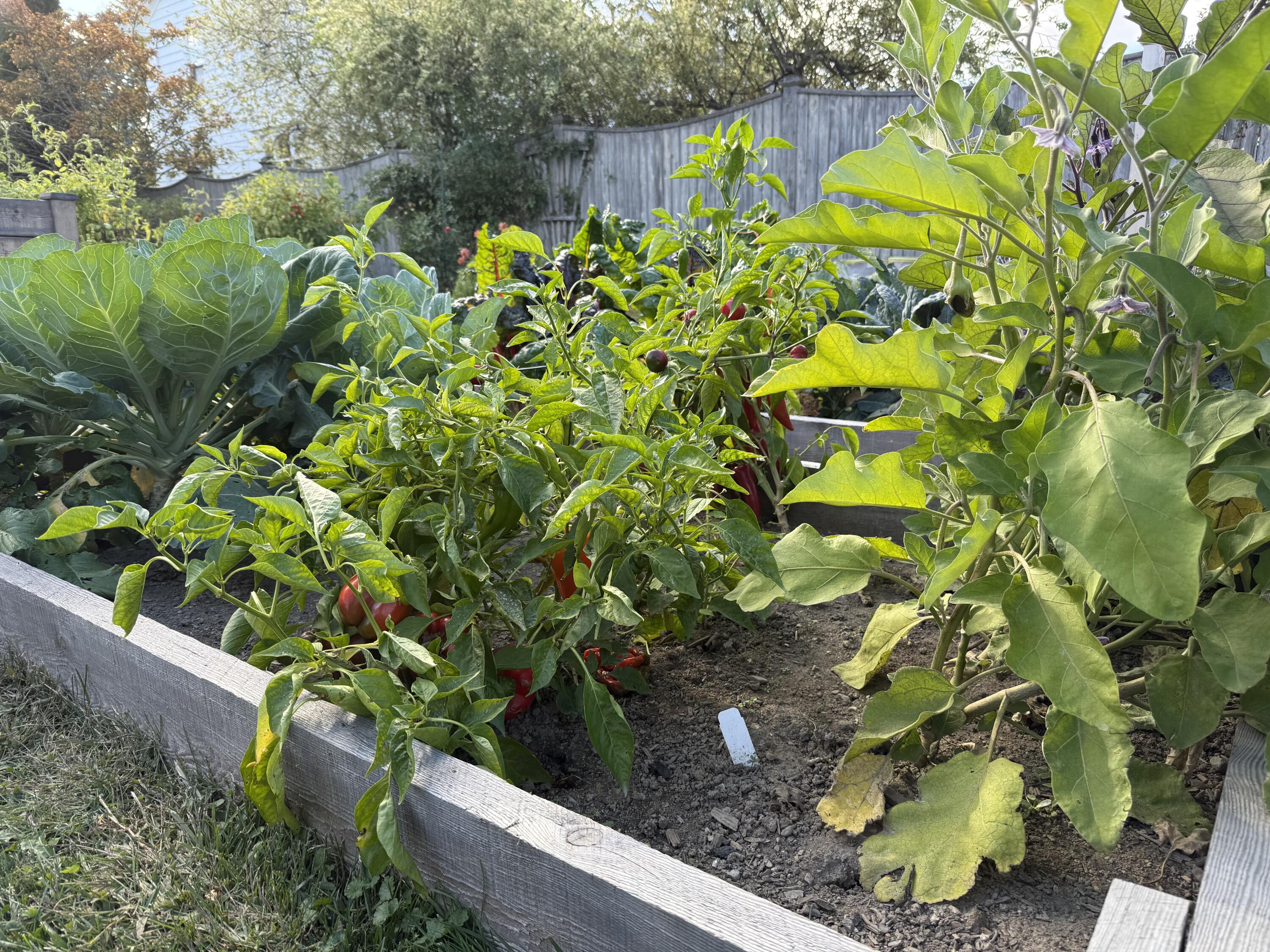 37 Wellington Road Portland ME 04103