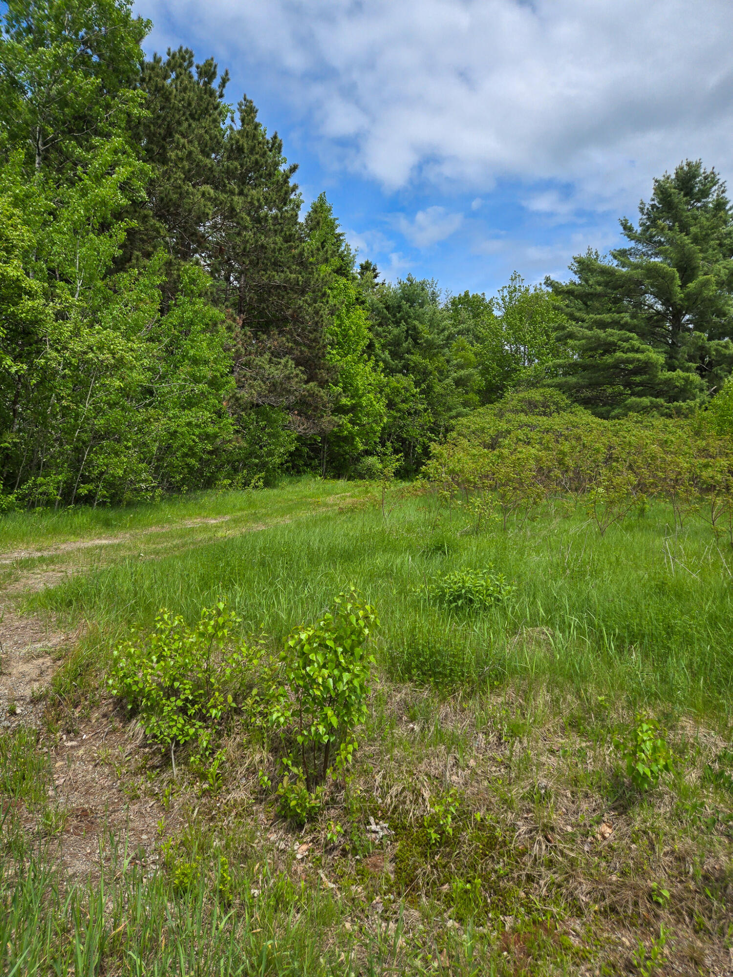 291 Pea Ridge Road Chester ME 04457