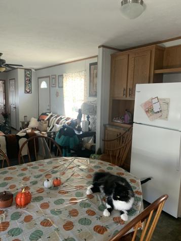 19 Tirrell Avenue Mechanic Falls ME 04256